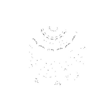 siyah ve beyaz grunge fırça darbesi 