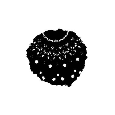 siyah ve beyaz grunge fırça darbesi 