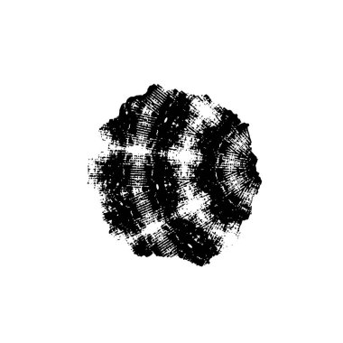 siyah ve beyaz grunge fırça darbesi 