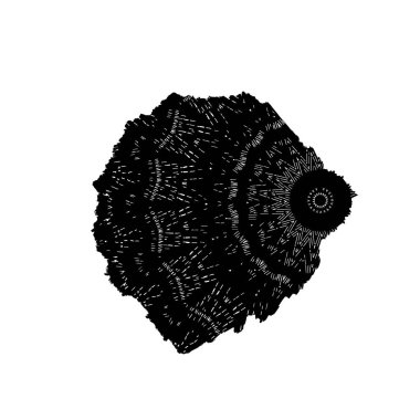 siyah ve beyaz grunge fırça darbesi 