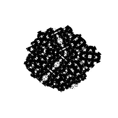 beyaz arkaplanda siyah ve beyaz fırça izole.