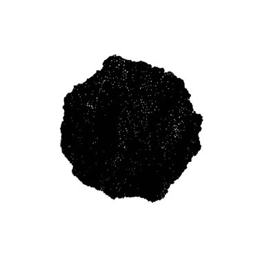 beyaz arkaplanda siyah ve beyaz fırça izole.