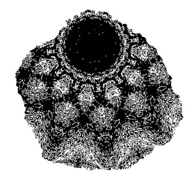 vektör el fırçası beyaz arkaplanda izole edildi.