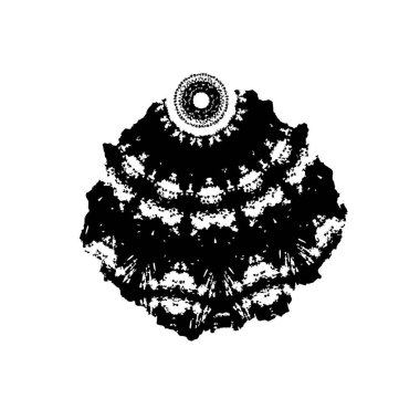  siyah ve beyaz fırça darbesi. vektör