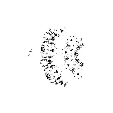 Grunge siyah beyaz fırça. vektör illüstrasyonu