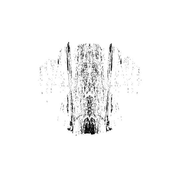 Coup Pinceau Grunge Noir Blanc — Image vectorielle