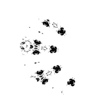 Grunge siyah beyaz fırça. vektör illüstrasyonu