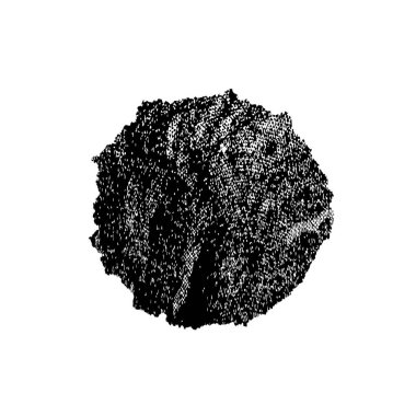 Grunge siyah beyaz fırça. vektör illüstrasyonu