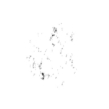 Grunge siyah beyaz fırça. vektör illüstrasyonu