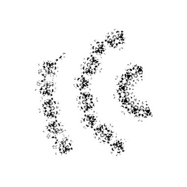 Grunge siyah beyaz fırça. vektör illüstrasyonu