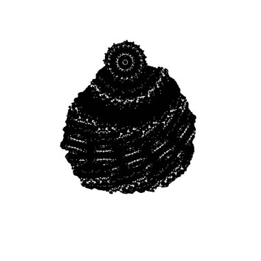 izole edilmiş deniz kabuğu simgesi