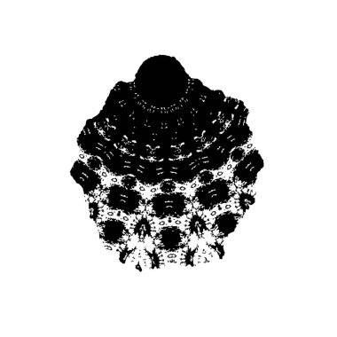 Bir hindistan cevizinin vektör silueti.