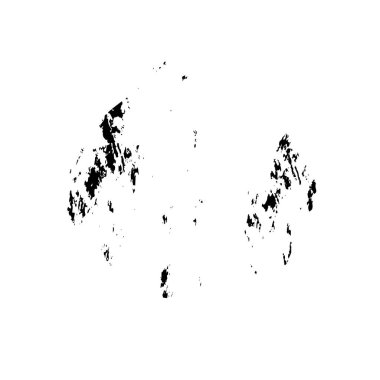 vektör siyah fırça darbesi. siyah ve beyaz 