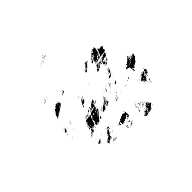 vektör siyah fırça darbesi. siyah ve beyaz 