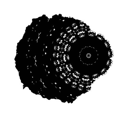 vektör siyah fırça darbesi. siyah ve beyaz 