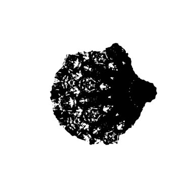 Grunge siyah beyaz dokusuyla örtüşüyor. Soyut şablon tasarımı. vektör