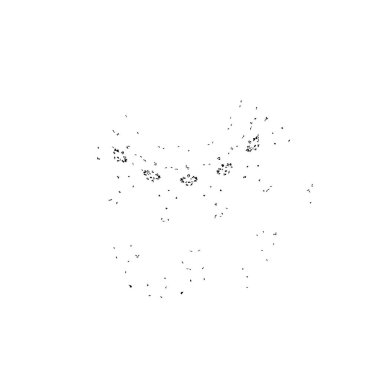 Grunge siyah beyaz dokusuyla örtüşüyor. Soyut şablon tasarımı. vektör