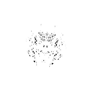 Grunge siyah beyaz dokusuyla örtüşüyor. Soyut şablon tasarımı. vektör