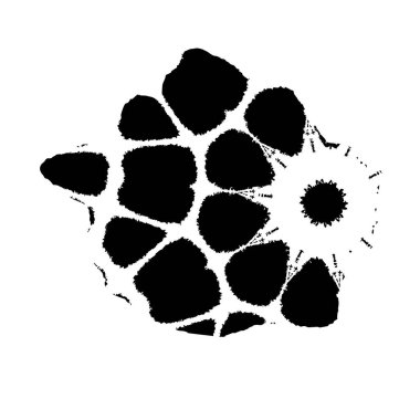 soyut siyah ve beyaz geometrik süsleme çizimi