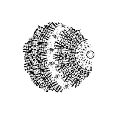 soyut siyah ve beyaz geometrik süsleme çizimi