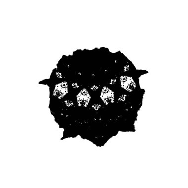 Soyut grunge arkaplanı. Monokrom dokusu. Siyah ve beyaz desenli arkaplan