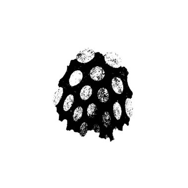 Soyut grunge arkaplanı. Monokrom dokusu. Siyah ve beyaz desenli arkaplan