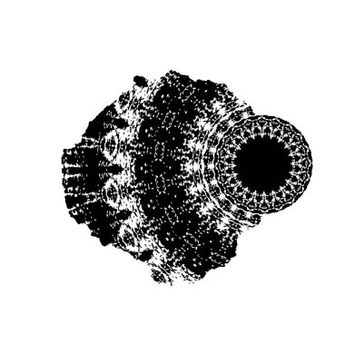 Soyut grunge arkaplanı. Monokrom dokusu. Siyah ve beyaz desenli arkaplan