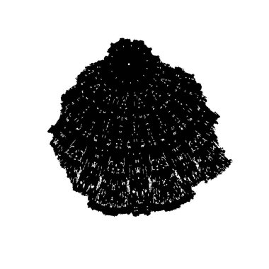 Soyut grunge arkaplanı. Monokrom dokusu. Siyah ve beyaz desenli arkaplan