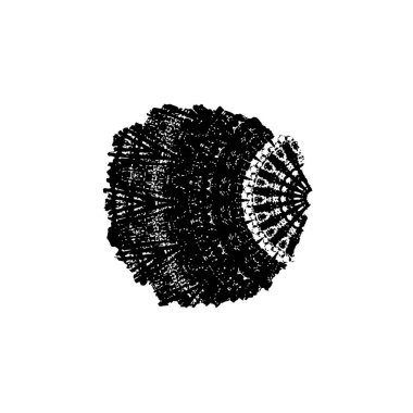 soyut siyah beyaz grunge yaratıcı arka plan