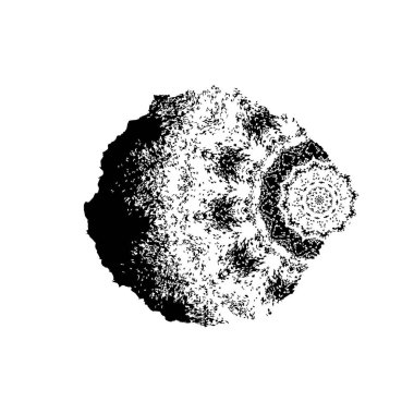 Soyut grunge arkaplanı. Monokrom dokusu. Siyah ve beyaz desenli arkaplan