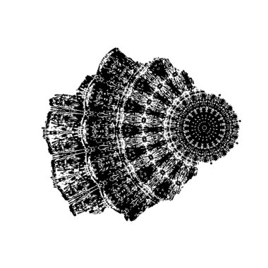 Soyut grunge arkaplanı. Monokrom dokusu. Siyah ve beyaz desenli arkaplan