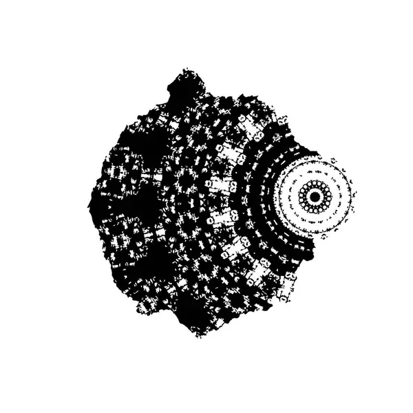 Soyut çiçek desenli siyah beyaz bir çerçeve..