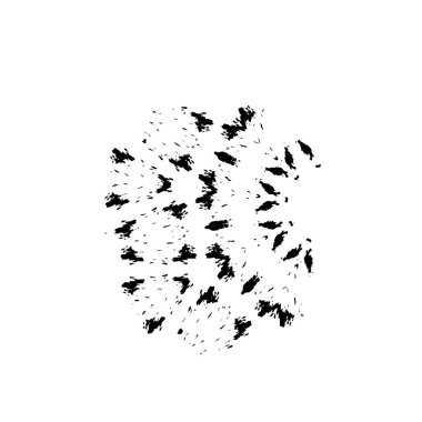 siyah beyaz geometrik dekoratif çizim