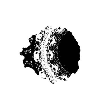 siyah beyaz geometrik dekoratif çizim