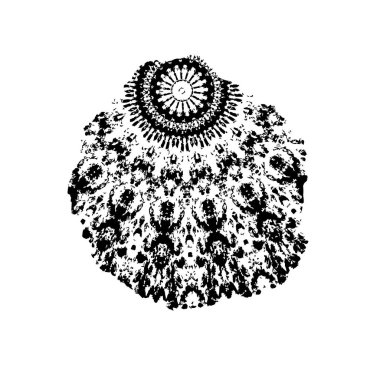 Soyut siyah ve beyaz grunge monokrom arkaplanı.   