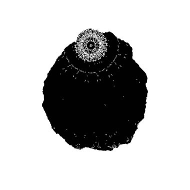 Soyut arkaplan. Monokrom dokusu. Siyah ve beyaz desenli arkaplan. 