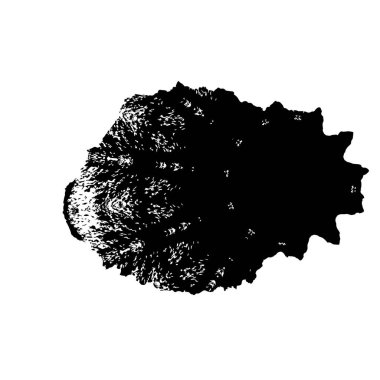 Soyut arkaplan. Monokrom dokusu. Siyah ve beyaz desenli arkaplan. 