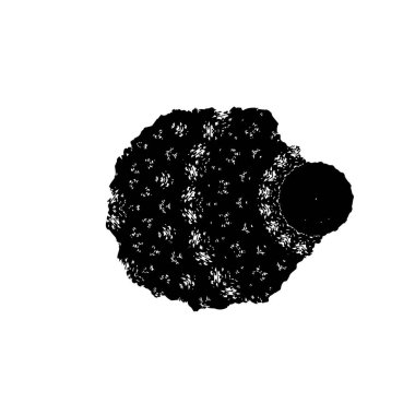 Soyut arkaplan. Monokrom dokusu. Siyah ve beyaz desenli arkaplan. 