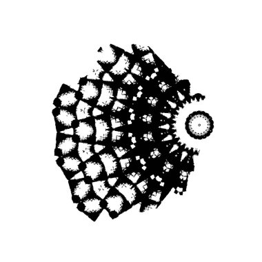 Beyaz arkaplanda kısmi mandala geometrik izi