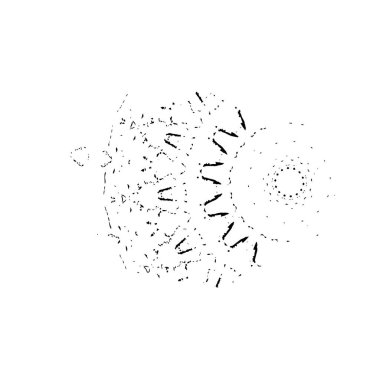 Beyaz arkaplanda kısmi mandala geometrik izi