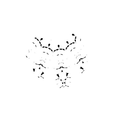 Beyaz arkaplanda kısmi mandala geometrik izi