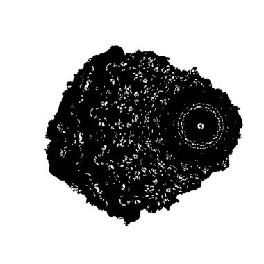 siyah ve beyaz monokrom arkaplan soyut doku 