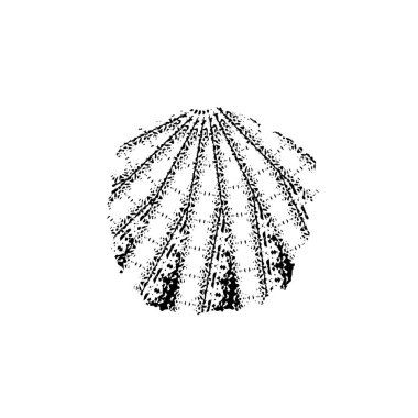 siyah ve beyaz grunge arkaplan, grafik soyut vektör çizimi