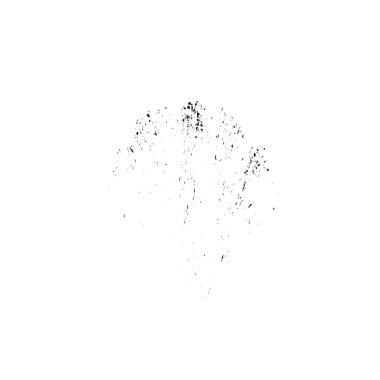 Beyaz arkaplanda soyut grunge mürekkep lekesi