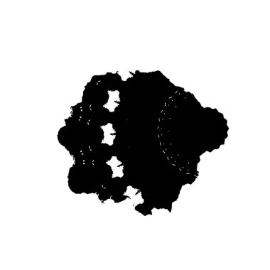 vektör siyah fırça darbesi beyaz arkaplanda izole edildi