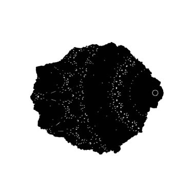 soyut grunge fırça darbesi siyah beyaz