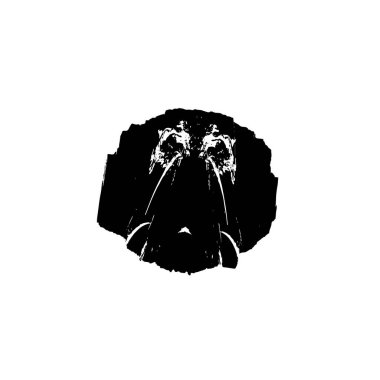 Beyaz arkaplanda soyut siyah renk fırça darbesi