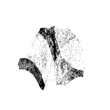 Beyaz arkaplanda soyut siyah renk fırça darbesi