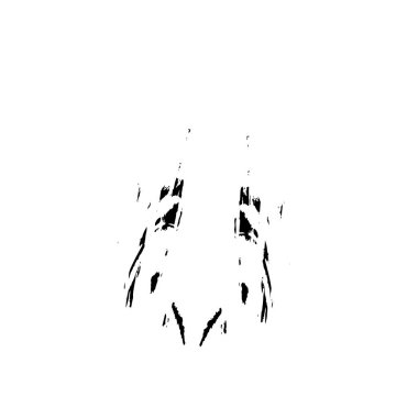 Beyaz arkaplanda soyut siyah renk fırça darbesi