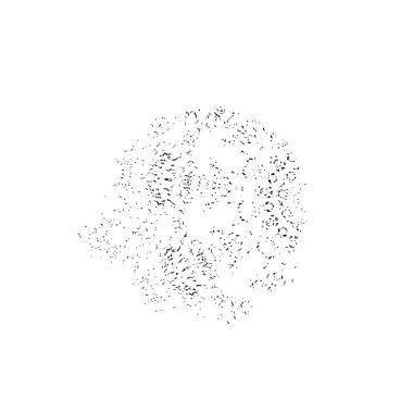 Beyaz arkaplanda soyut siyah renk fırça darbesi